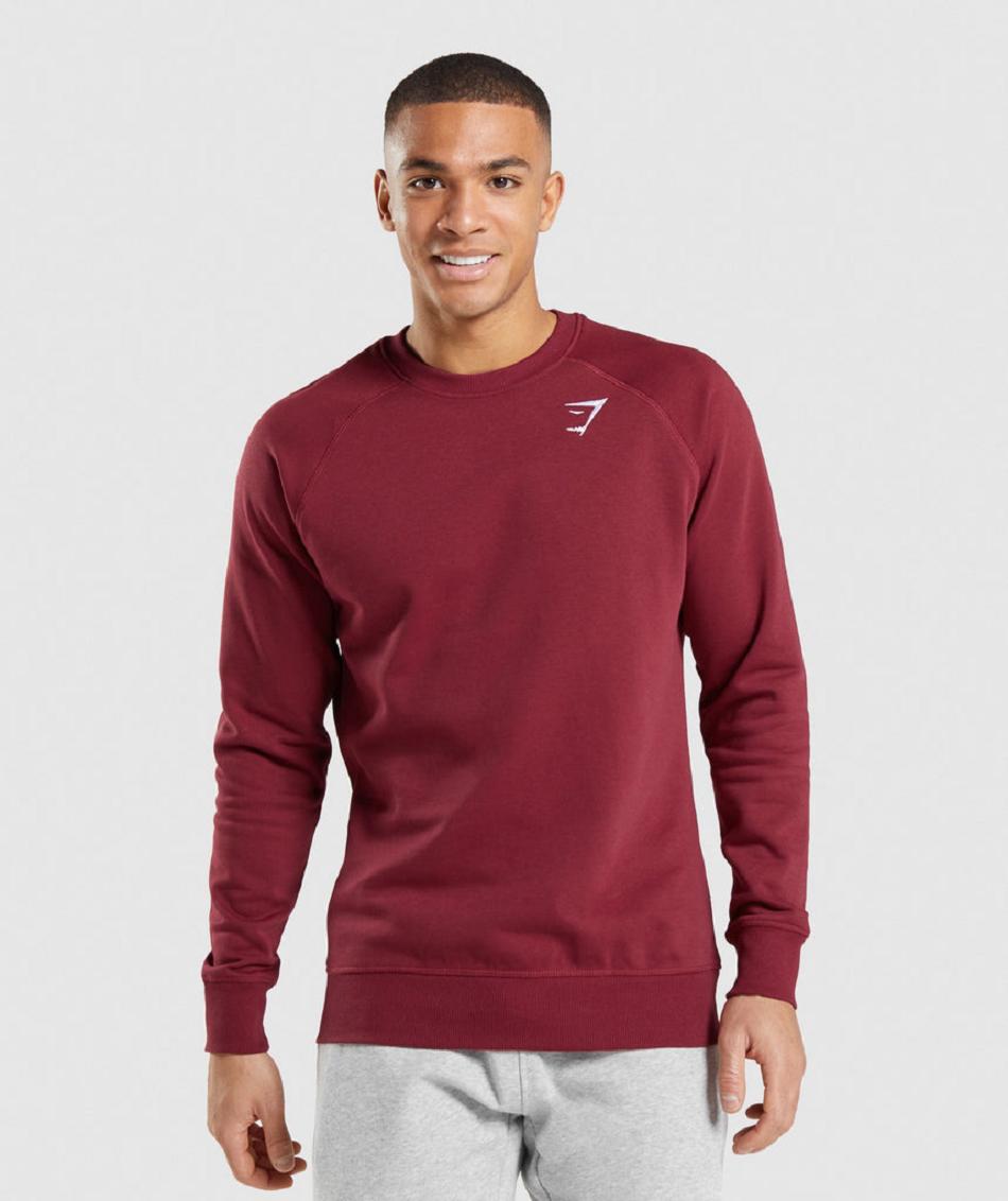 Correr Con Capucha Gymshark Crest Sweatshirt Hombre Burdeos Rojas | CO 3667FDN